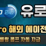 유로247 도메인